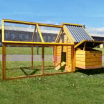 Cocoon Chicken Coop & Run - ECO 600