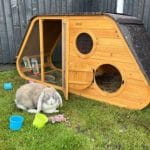 chicken coop with curved roof and circular door