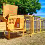 12.5FT 4000WX Chicken Coop