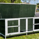 Extra large Thumper Green Rabbit Hutch – Welfare Standard Approved