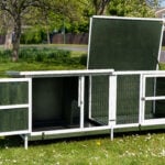 Extra large Thumper Green Rabbit Hutch – Welfare Standard Approved