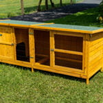Thumper XL rabbit hutch