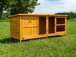 Thumper XL rabbit hutch
