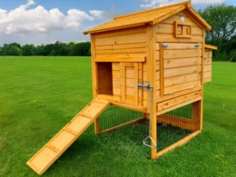 Clearance Sale Granary Chicken Coop & Nest Box