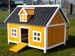 Clearance Sale Eco Barn Chicken Coop
