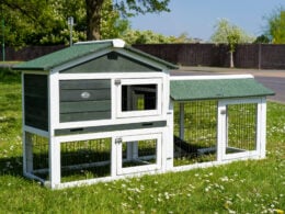 Clearance Sale Smokey XL Rabbit Hutch - Green