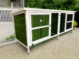 Clearance Sale Thumper XL Rabbit Hutch Green | Welfare Standard Approved