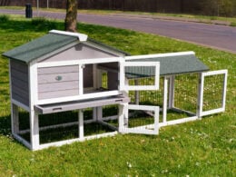 Clearance Sale 6ft Smokey XL Rabbit Hutch – Grey