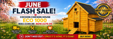 chicken coops June Sale