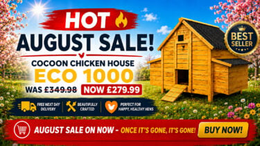 chicken-coops-banner