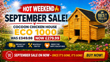 chicken-coops-september-banner1
