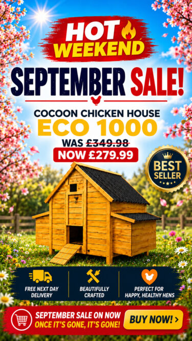 chicken-coops-september-banner1