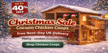 chicken coops christmas