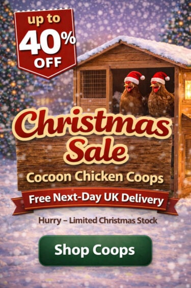 chicken coops christmas