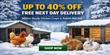 chicken coops sale