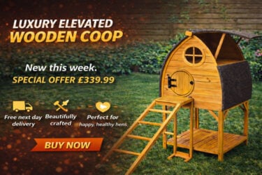 chicken-coop-offer