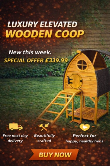 chicken-coop-offer