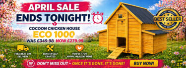 chicken-coops-sale1