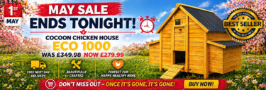 chicken coops banner